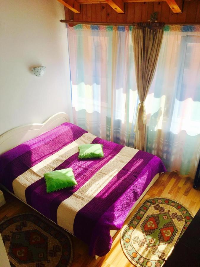 Rolling Stone Hostel Braşov Dış mekan fotoğraf