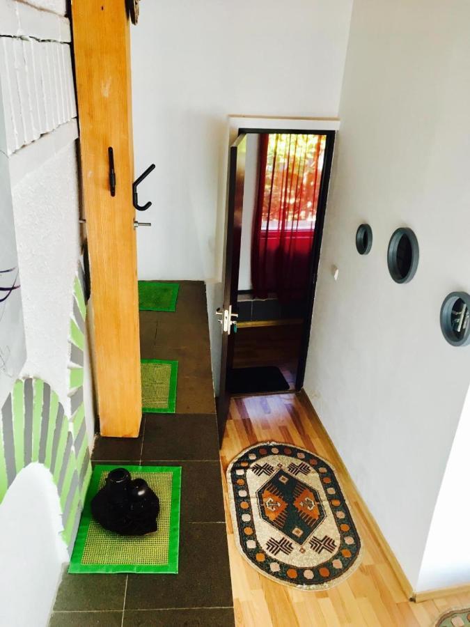 Rolling Stone Hostel Braşov Dış mekan fotoğraf