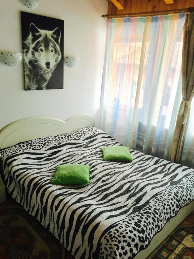 Rolling Stone Hostel Braşov Dış mekan fotoğraf